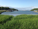  佐渡島加茂湖　サステナブルな里海づくりのための人材育成プロジェクト 